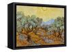 Olive Trees, 1889-Vincent van Gogh-Framed Stretched Canvas