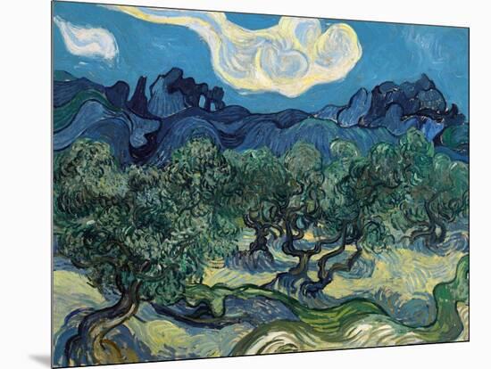 Olive Trees, 1889-Vincent van Gogh-Mounted Giclee Print