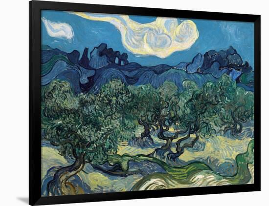 Olive Trees, 1889-Vincent van Gogh-Framed Giclee Print