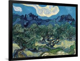 Olive Trees, 1889-Vincent van Gogh-Framed Giclee Print