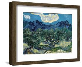 Olive Trees, 1889-Vincent van Gogh-Framed Giclee Print