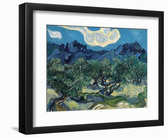 Olive Trees, 1889-Vincent van Gogh-Framed Giclee Print