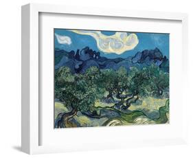 Olive Trees, 1889-Vincent van Gogh-Framed Giclee Print