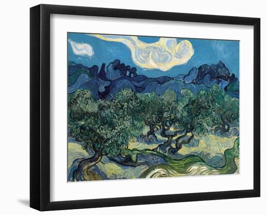 Olive Trees, 1889-Vincent van Gogh-Framed Giclee Print