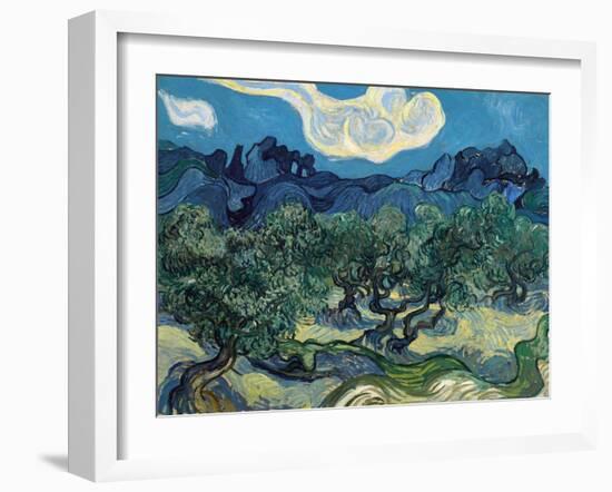 Olive Trees, 1889-Vincent van Gogh-Framed Giclee Print