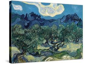 Olive Trees, 1889-Vincent van Gogh-Stretched Canvas