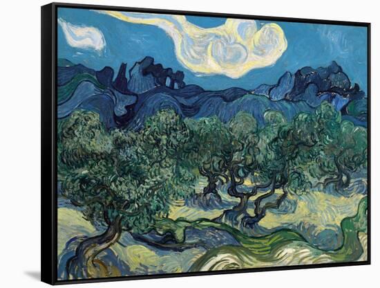 Olive Trees, 1889-Vincent van Gogh-Framed Stretched Canvas