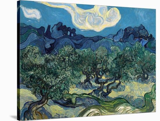 Olive Trees, 1889-Vincent van Gogh-Stretched Canvas