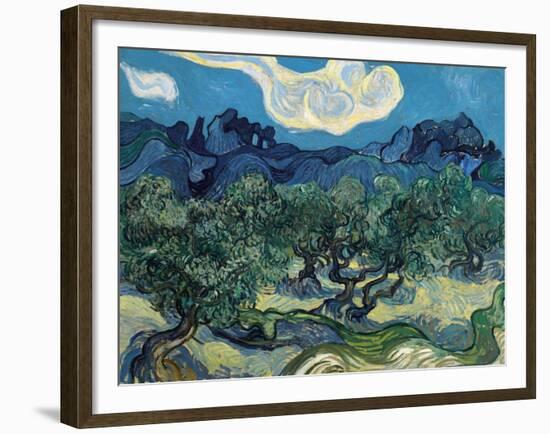 Olive Trees, 1889-Vincent van Gogh-Framed Giclee Print