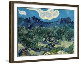 Olive Trees, 1889-Vincent van Gogh-Framed Giclee Print