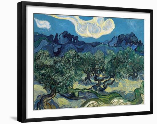 Olive Trees, 1889-Vincent van Gogh-Framed Giclee Print