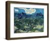 Olive Trees, 1889-Vincent van Gogh-Framed Premium Giclee Print