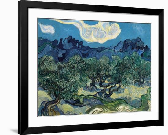 Olive Trees, 1889-Vincent van Gogh-Framed Giclee Print