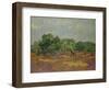 Olive Trees, 1889-Vincent van Gogh-Framed Premium Giclee Print