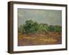 Olive Trees, 1889-Vincent van Gogh-Framed Giclee Print