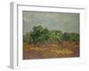 Olive Trees, 1889-Vincent van Gogh-Framed Giclee Print