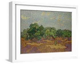 Olive Trees, 1889-Vincent van Gogh-Framed Giclee Print