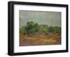 Olive Trees, 1889-Vincent van Gogh-Framed Giclee Print