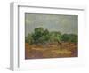 Olive Trees, 1889-Vincent van Gogh-Framed Giclee Print
