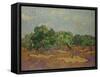 Olive Trees, 1889-Vincent van Gogh-Framed Stretched Canvas