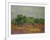 Olive Trees, 1889-Vincent van Gogh-Framed Giclee Print