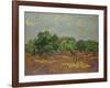 Olive Trees, 1889-Vincent van Gogh-Framed Giclee Print