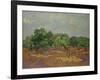 Olive Trees, 1889-Vincent van Gogh-Framed Giclee Print