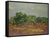 Olive Trees, 1889-Vincent van Gogh-Framed Stretched Canvas