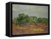 Olive Trees, 1889-Vincent van Gogh-Framed Stretched Canvas