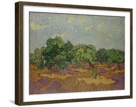 Olive Trees, 1889-Vincent van Gogh-Framed Giclee Print