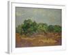 Olive Trees, 1889-Vincent van Gogh-Framed Giclee Print