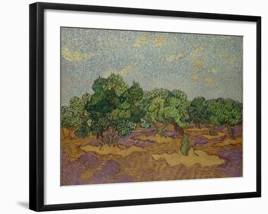 Olive Trees, 1889-Vincent van Gogh-Framed Giclee Print