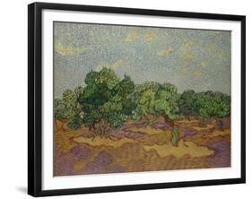 Olive Trees, 1889-Vincent van Gogh-Framed Giclee Print