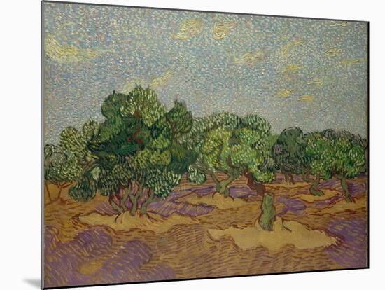 Olive Trees, 1889-Vincent van Gogh-Mounted Giclee Print