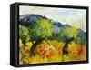 Olive trees 45-Pol Ledent-Framed Stretched Canvas