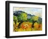 Olive trees 45-Pol Ledent-Framed Art Print