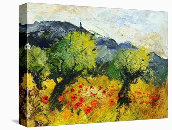 Olive trees 45-Pol Ledent-Stretched Canvas