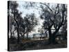 Olive Trees around Cap Martin, 1891-Emmanuel Lansyer-Stretched Canvas