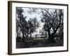 Olive Trees around Cap Martin, 1891-Emmanuel Lansyer-Framed Giclee Print