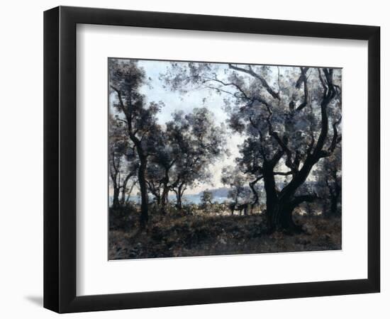 Olive Trees around Cap Martin, 1891-Emmanuel Lansyer-Framed Giclee Print