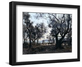 Olive Trees around Cap Martin, 1891-Emmanuel Lansyer-Framed Giclee Print