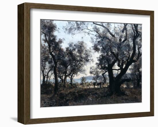 Olive Trees around Cap Martin, 1891-Emmanuel Lansyer-Framed Giclee Print