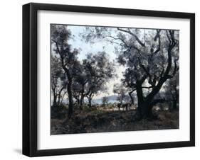 Olive Trees around Cap Martin, 1891-Emmanuel Lansyer-Framed Giclee Print