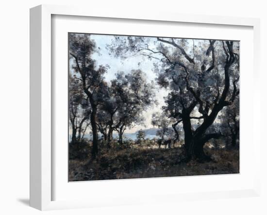 Olive Trees around Cap Martin, 1891-Emmanuel Lansyer-Framed Giclee Print