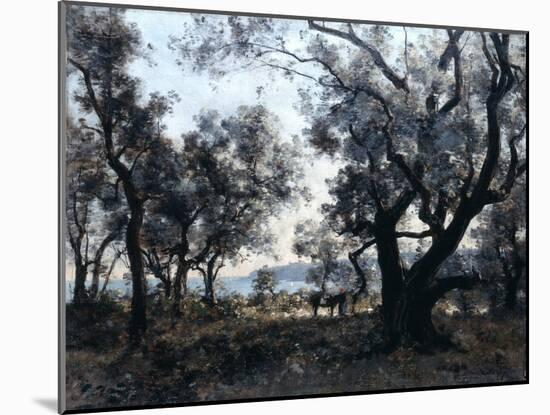 Olive Trees around Cap Martin, 1891-Emmanuel Lansyer-Mounted Giclee Print