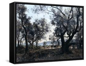Olive Trees around Cap Martin, 1891-Emmanuel Lansyer-Framed Stretched Canvas