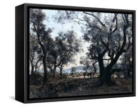 Olive Trees around Cap Martin, 1891-Emmanuel Lansyer-Framed Stretched Canvas