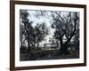 Olive Trees around Cap Martin, 1891-Emmanuel Lansyer-Framed Giclee Print