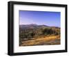 Olive Trees at Sunset, Ardales, Province Malaga, Andalusia, Spain, Europe-Markus Lange-Framed Photographic Print