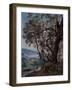 Olive Trees at the Beginning of the Roquebrune Trail, 1892 (Oil on Canvas)-Emmanuel Lansyer-Framed Giclee Print